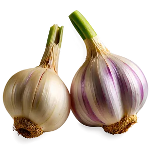 Fresh Garlic PNG Xgi PNG