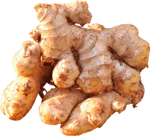 Fresh Ginger Root Cluster.png PNG Image