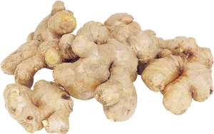 Fresh Ginger Root Cluster.png PNG Image