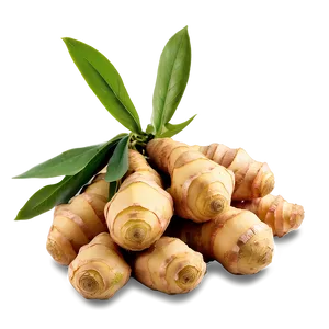 Fresh Ginger Root PNG 06202024 PNG