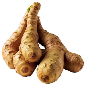 Fresh Ginger Root PNG 60 PNG