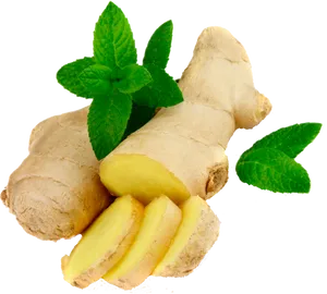 Fresh Ginger Rootwith Mint Leaves PNG Image