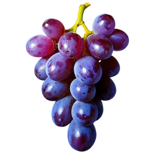 Fresh Grape Image Png Myf18 PNG Image