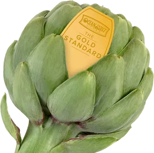 Fresh Green Artichoke With Label PNG Image