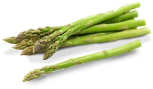 Fresh Green Asparagus Bunch.png PNG Image