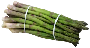 Fresh Green Asparagus Bundle PNG Image