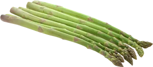 Fresh Green Asparagus Bundle.png PNG Image