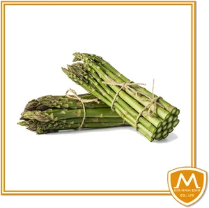 Fresh Green Asparagus Bundles PNG Image