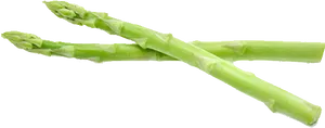 Fresh Green Asparagus Stalks PNG Image