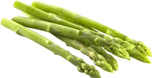 Fresh Green Asparagus Stalks.png PNG Image