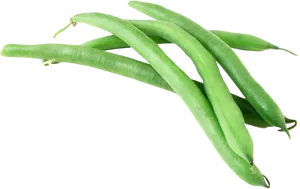 Fresh Green Beans Isolated PNG Image