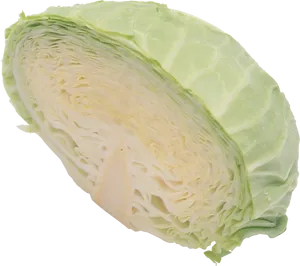 Fresh Green Cabbage Half Cut Transparent Background PNG Image