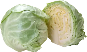 Fresh Green Cabbage Halfand Whole PNG Image