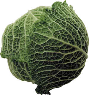 Fresh Green Cabbage PNG Image