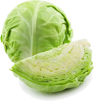 Fresh Green Cabbagewith Cut Section.png PNG Image