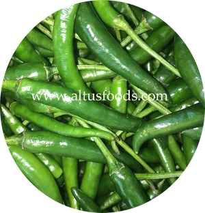 Fresh Green Chili Peppers Batch PNG Image