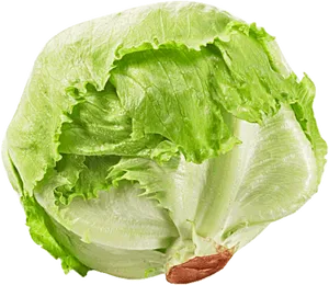 Fresh Green Iceberg Lettuce PNG Image