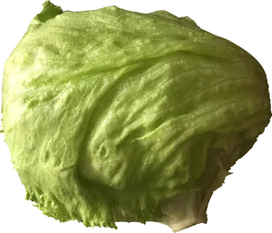 Fresh Green Iceberg Lettuce PNG Image