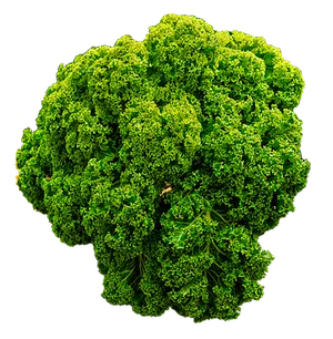 Fresh Green Kale Black Background PNG Image