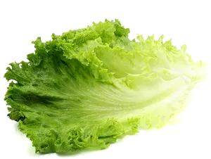 Fresh Green Lettuce Leaves.png PNG Image