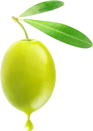 Fresh Green Olivewith Droplet PNG Image