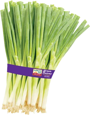 Fresh Green Onions Bundle PNG