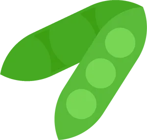 Fresh Green Pea Pod Illustration PNG Image