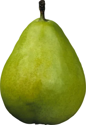 Fresh Green Pear Isolated.png PNG Image