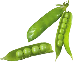 Fresh Green Peas Pods Transparent Background PNG Image