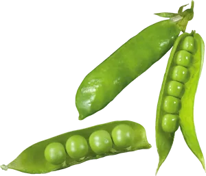 Fresh Green Peas Pods Transparent Background PNG Image