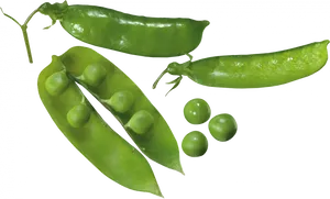 Fresh Green Peas Pods PNG Image