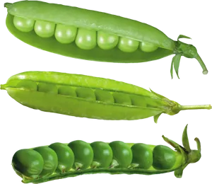 Fresh Green Peas Pods PNG Image