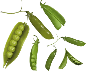 Fresh Green Peas Variety PNG Image