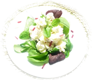 Fresh Green Salad Tossed Ingredients PNG Image