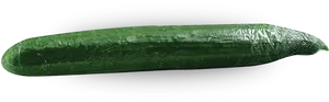 Fresh Green Zucchini Vegetable PNG