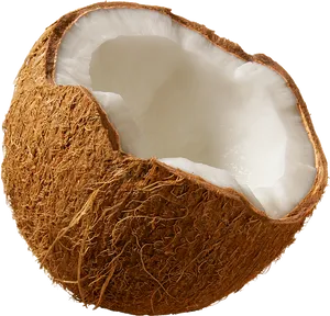 Fresh Half Coconut Transparent Background PNG Image