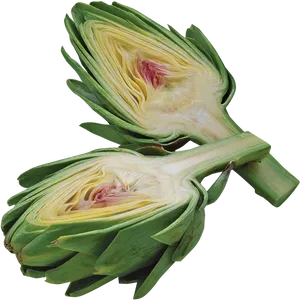 Fresh Halved Artichoke Transparent Background PNG Image