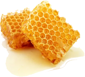 Fresh Honeycomb Pieces PNG Image