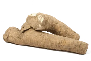 Fresh Horseradish Roots PNG Image