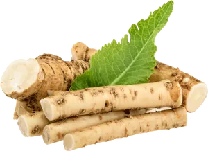 Fresh Horseradish Rootsand Leaf PNG Image