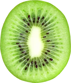 Fresh Kiwi Slice Closeup.png PNG Image