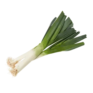 Fresh Leek Against Teal Background PNG Image