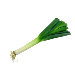 Fresh Leek Isolatedon Grey Background PNG Image