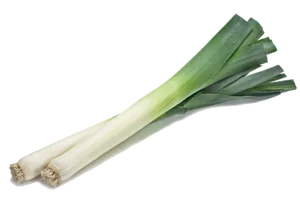 Fresh Leek Vegetable Isolated PNG Image