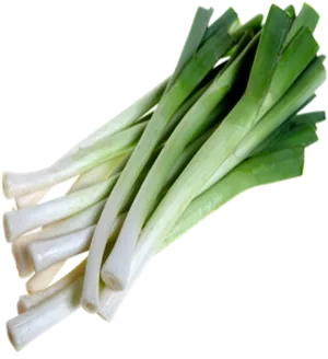 Fresh Leeks Isolated.png PNG Image