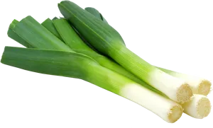 Fresh Leeks Isolatedon Background PNG Image