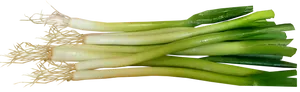 Fresh Leeks Isolatedon Background PNG Image