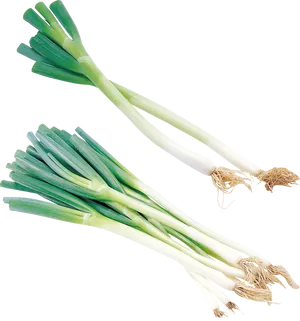 Fresh Leeks Isolatedon Grey Background PNG Image