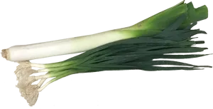 Fresh Leeks Isolatedon White Background PNG Image