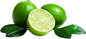 Fresh Limesand Leaves PNG Image